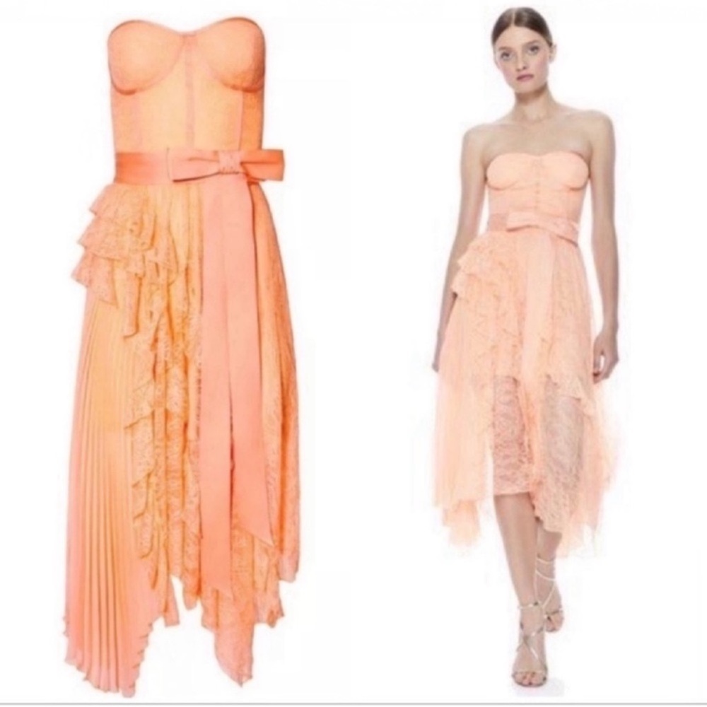 Alice and Olivia "Bree Ruffle Pleated Corset Midi Dress"